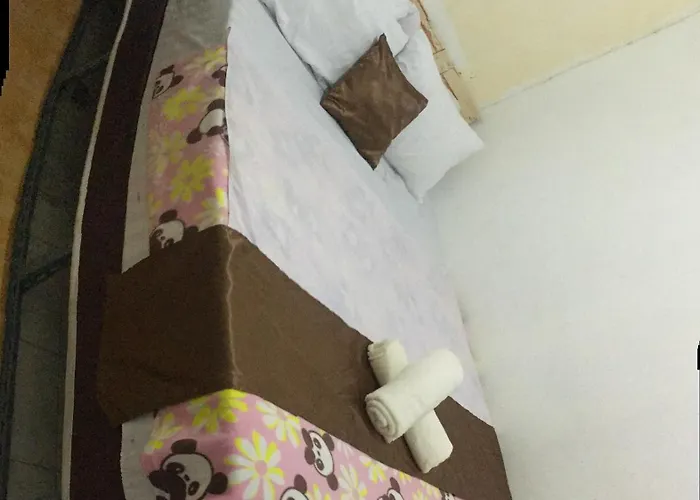 24 Hostal *
