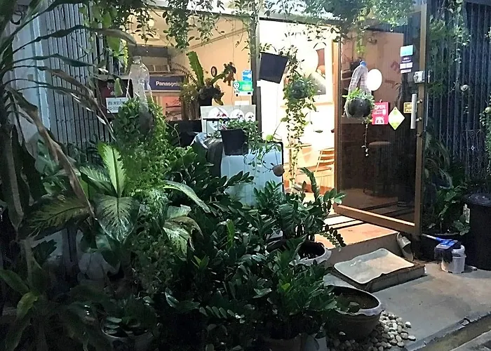 Hostal 24 *